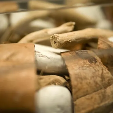 Des Canuts Дом отдыха *