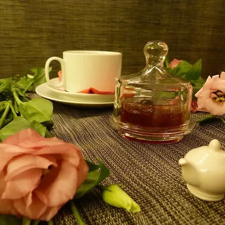 Des Canuts Дом отдыха Лион