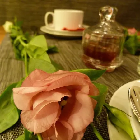 Bed & Breakfast Des Canuts Lyon