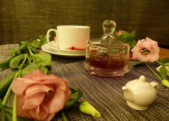 Des Canuts בית נופש ליון